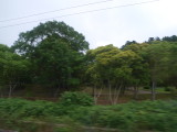 img0032.jpg