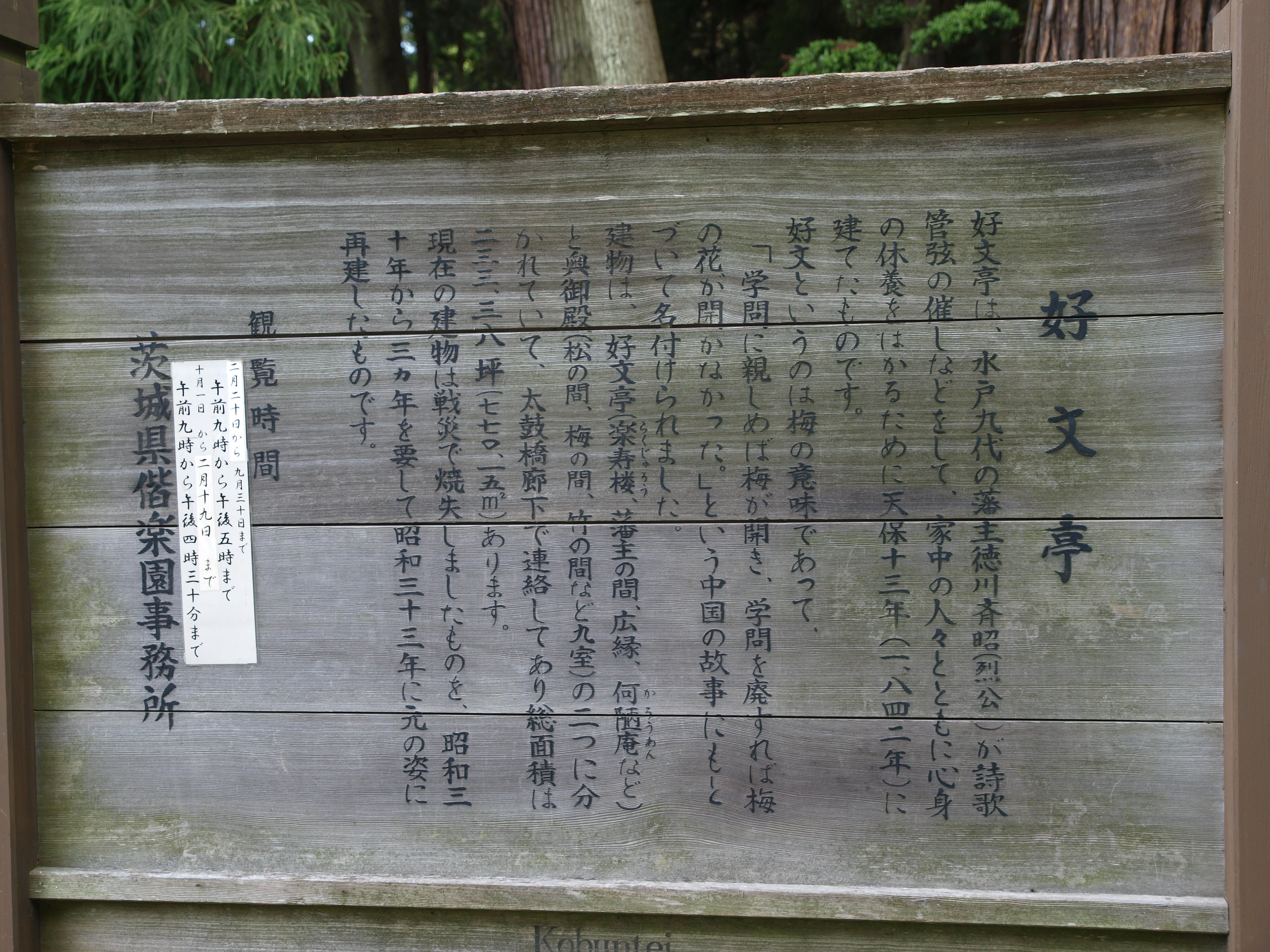 P6064055.JPG