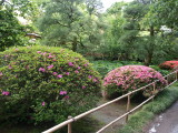 img0005.jpg