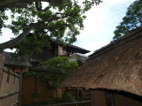 img0037.jpg