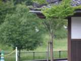 img0000.jpg