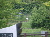 img0002.jpg