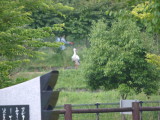 img0003.jpg