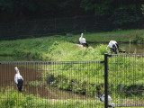 img0014.jpg