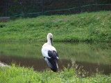 img0015.jpg
