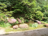 img0086.jpg