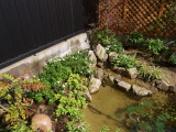 img0000.jpg