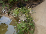 img0001.jpg