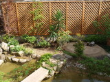 img0003.jpg