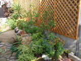img0005.jpg