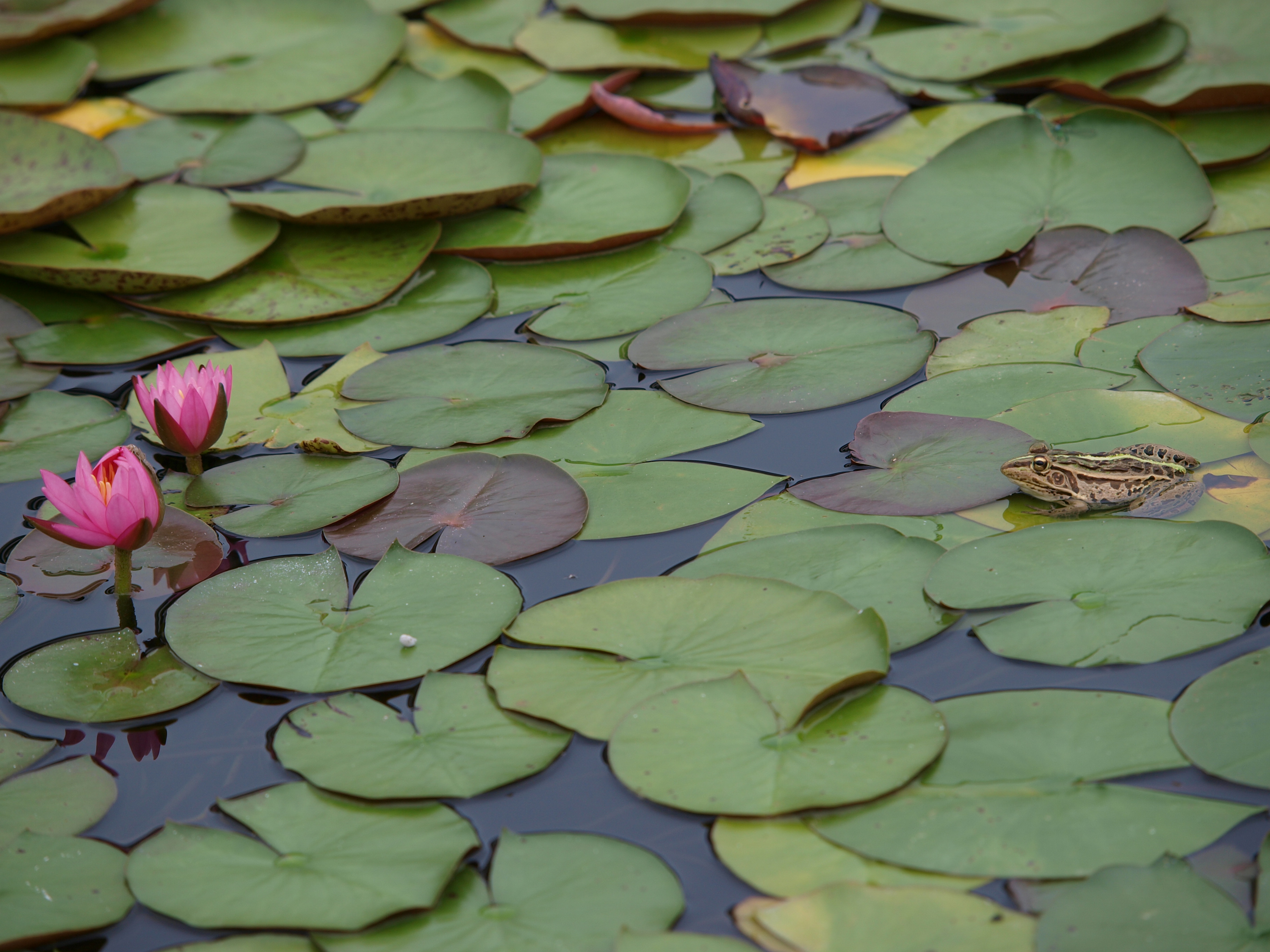 P7124363.JPG