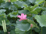 img0000.jpg