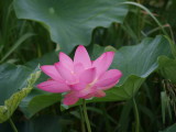 img0002.jpg