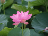 img0004.jpg