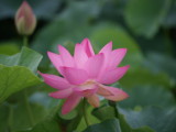 img0006.jpg