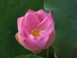 img0016.jpg
