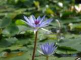img0020.jpg