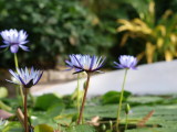 img0021.jpg