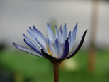 img0023.jpg