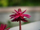 img0024.jpg