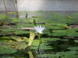 img0028.jpg