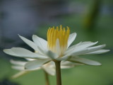 img0031.jpg