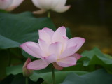 img0035.jpg