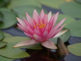 img0038.jpg