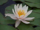 img0039.jpg