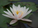 img0040.jpg