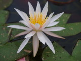 img0041.jpg