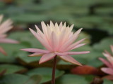 img0042.jpg
