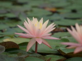 img0043.jpg