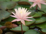 img0044.jpg