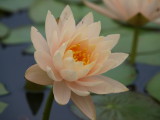 img0047.jpg