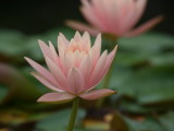 img0048.jpg