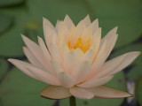 img0050.jpg