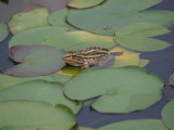 img0053.jpg