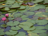img0054.jpg