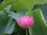 img0055.jpg