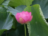 img0056.jpg