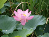 img0058.jpg