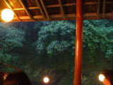 img0008.jpg