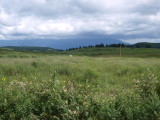 img0008.jpg
