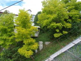img0019.jpg