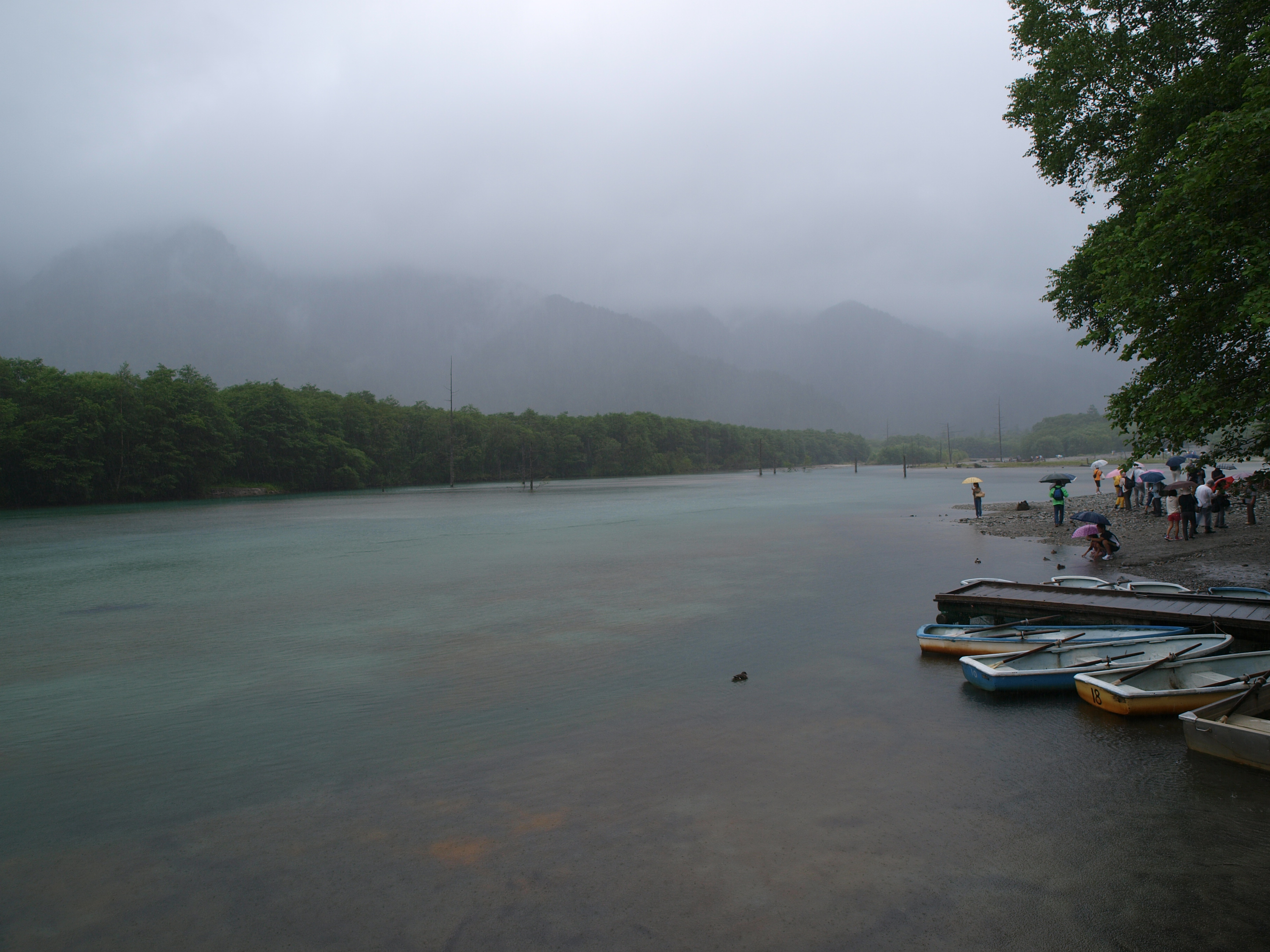 P8134462.JPG