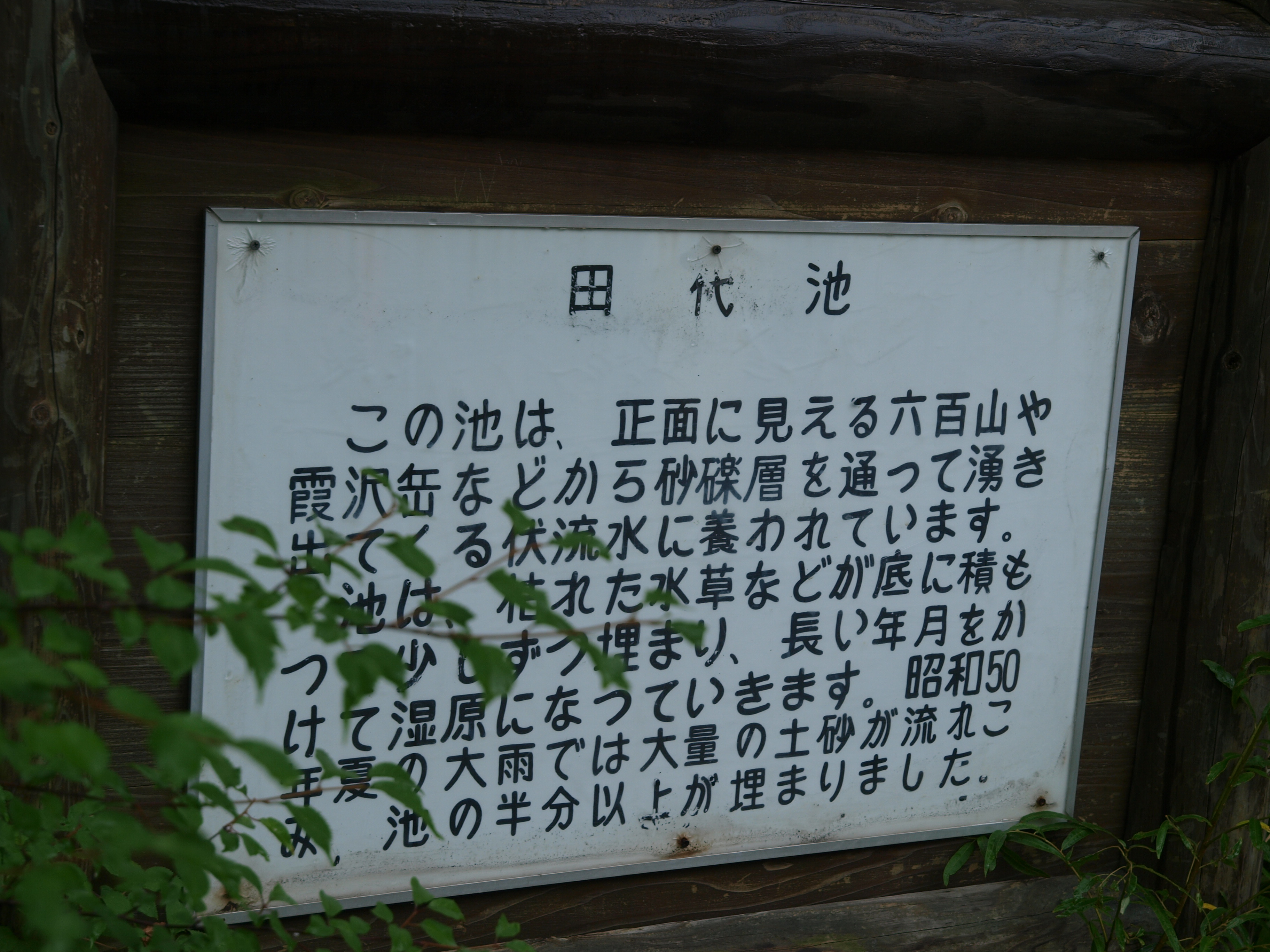 P8134469.JPG