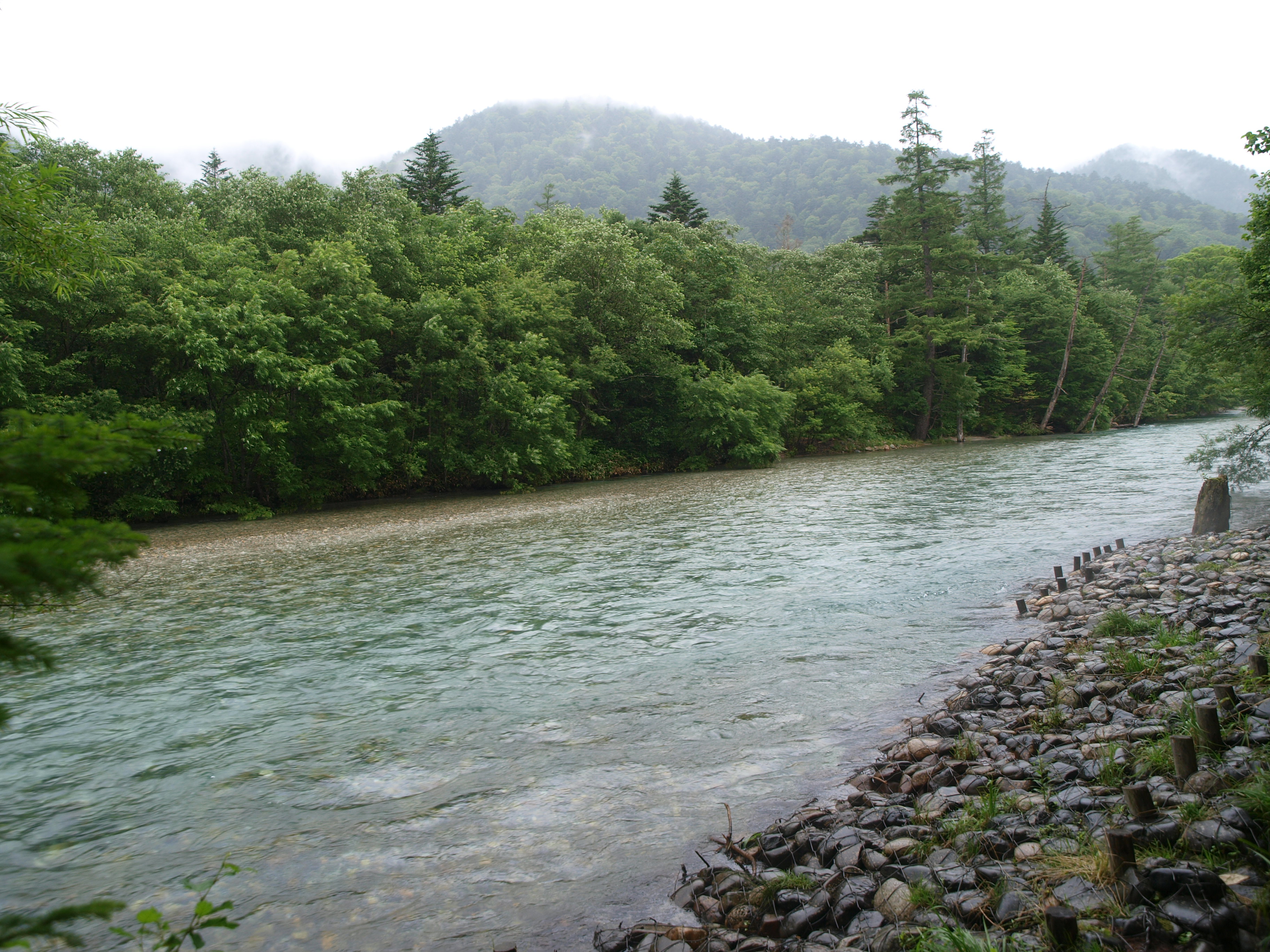 P8134472.JPG