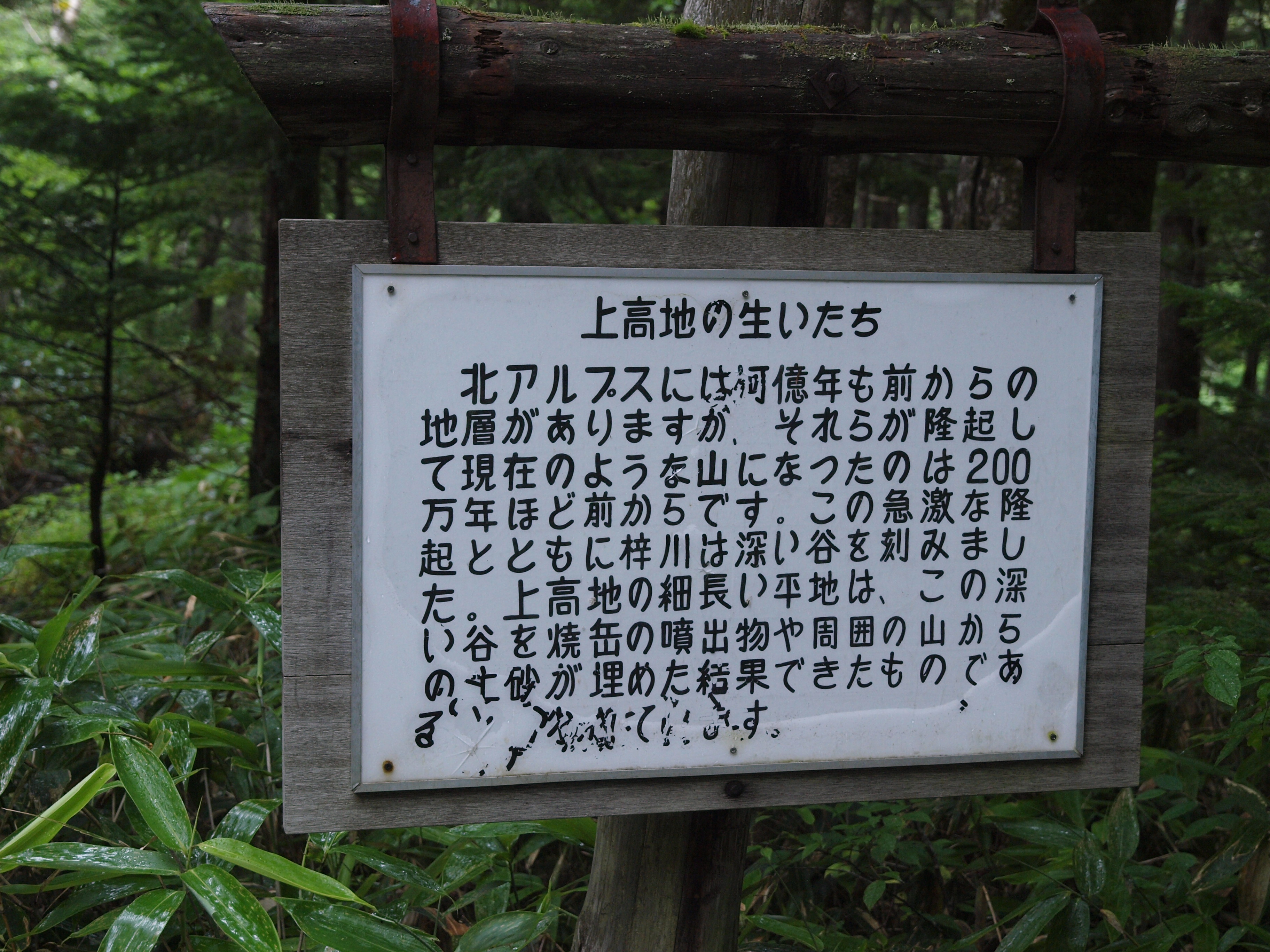 P8134474.JPG