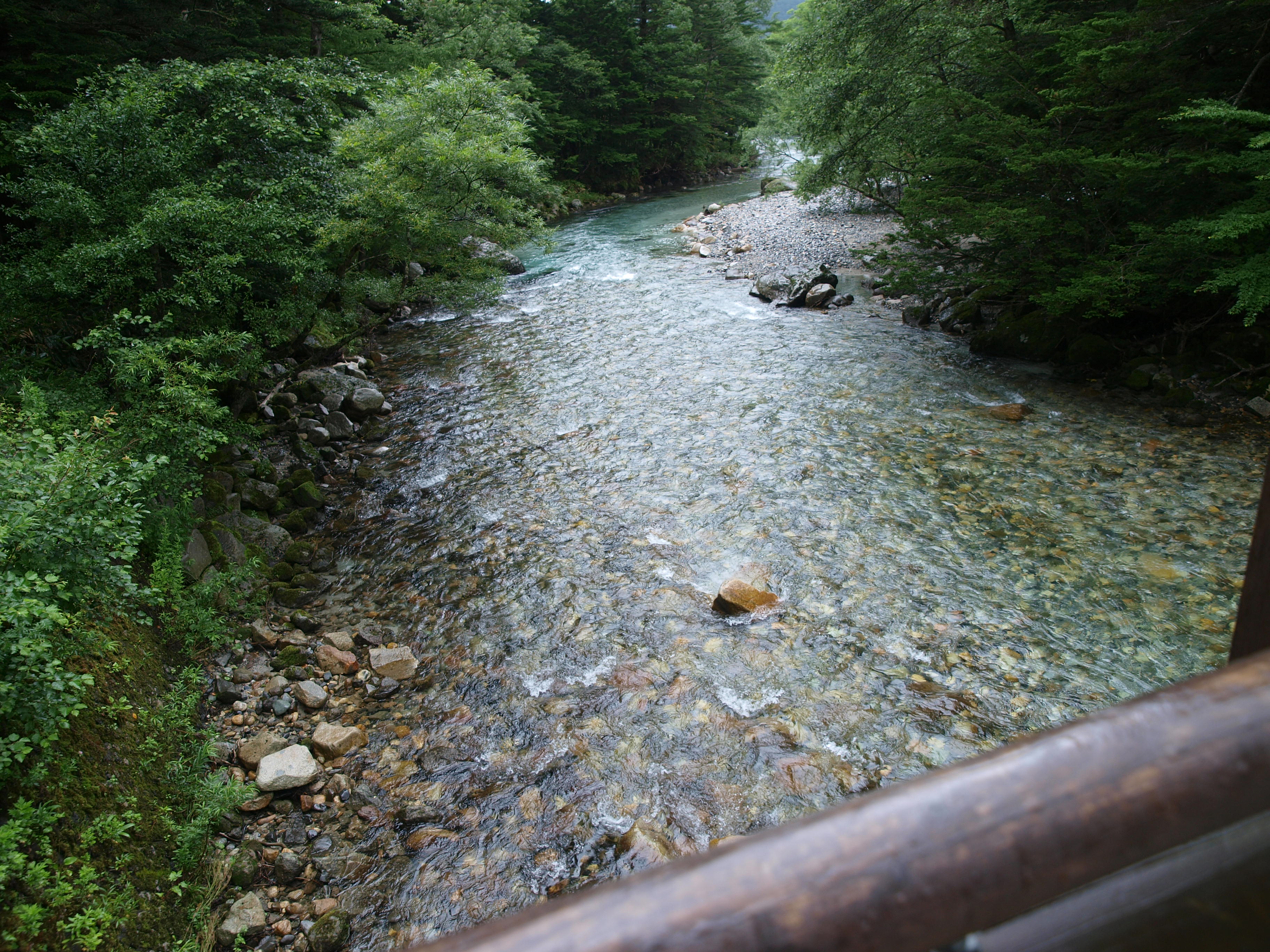 P8134476.JPG